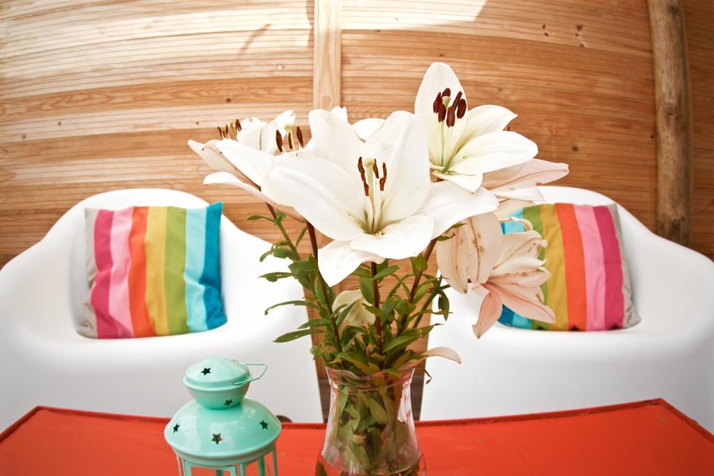 Oporto Surf Camp Hostel Esmoriz Ngoại thất bức ảnh